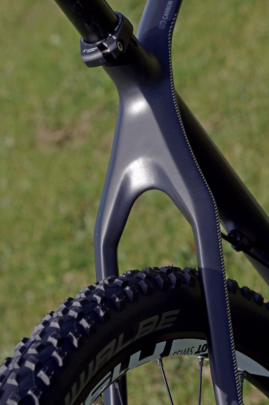 Rear-carbon-stays-on-MTB